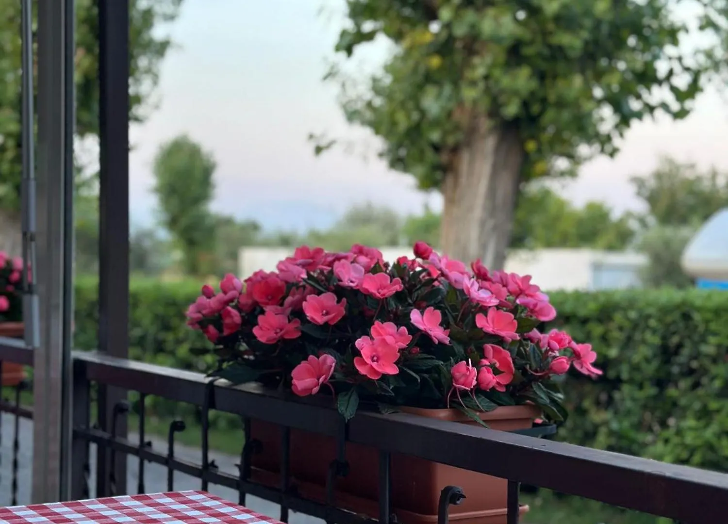 Camping San Michele Moniga del Garda Κάμπινγκ